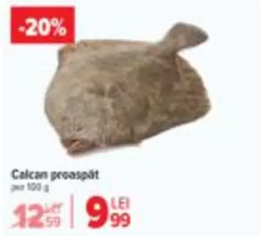 Calcan proaspăt