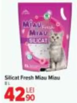 Silicat Fresh