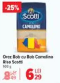 Orez Bob cu Bob Carolino