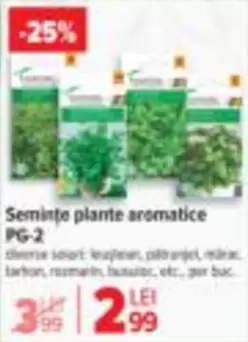 Seminte plante aromatice PG-2