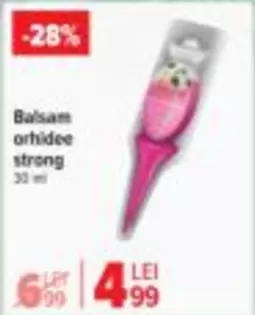 Balsam orhidee strong