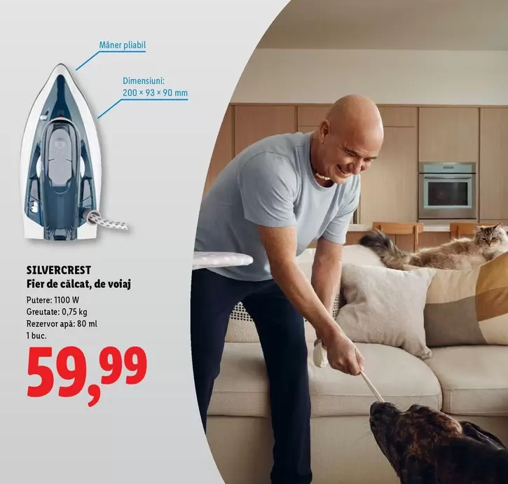 Fier de calcat, de voiaj