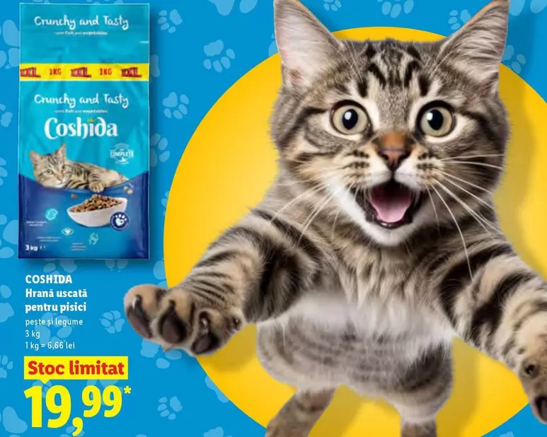 Coshida Hrana uscata pentru pisici