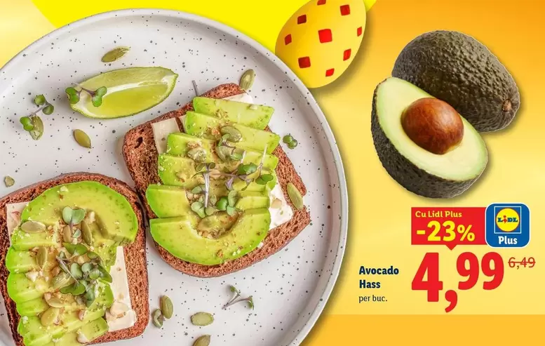 Avocado Hass