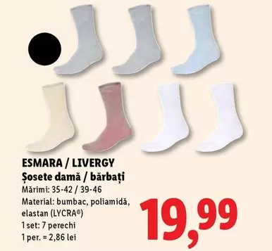 Șosete damă / bărbați