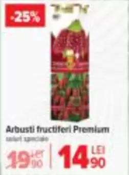 Arbustii fructiferi Premium