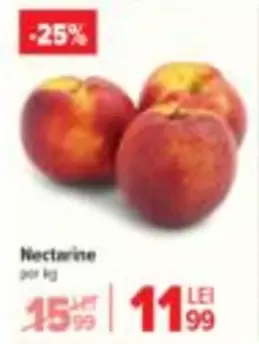 Nectarine