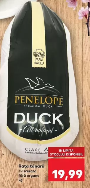 Rață tânără eviscerată fără organe