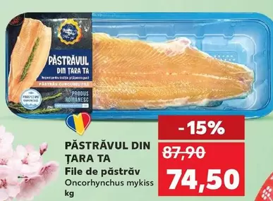 File de păstrăv Oncorhynchus mykiss