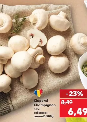 Ciuperci Champignon albe