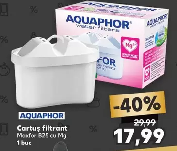 Cartuș filtrant Maxfor B25