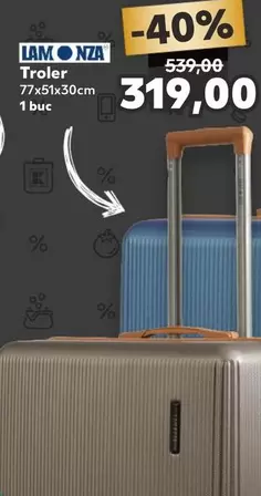 Troler 77x51x30cm 1 buc