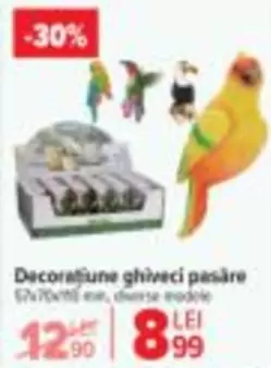 Decoratiune ghiveci pasare