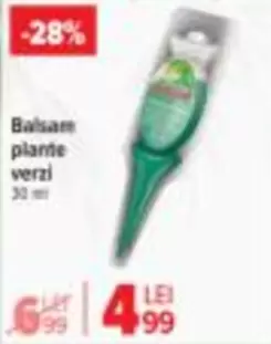 Balsam plante verzi