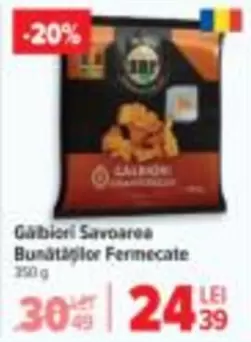 Gălbiori Savoare Bunătăților Fermentate