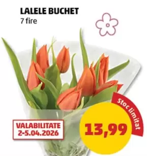 LALELE BUCHET