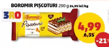 PIȘCOTURI