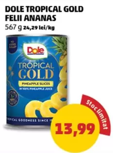 TROPICAL GOLD PINEAPPLE SLICES