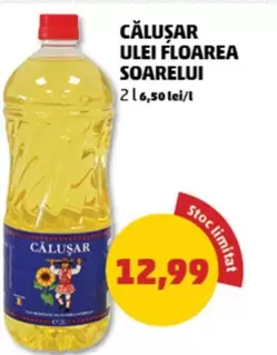 ULEI FLOAREA SOARELUI