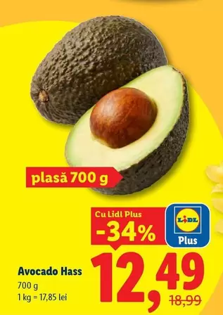 Avocado Hass