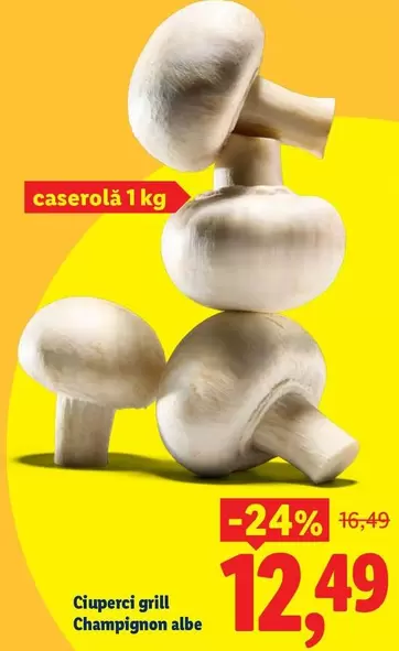 Ciuperci grill Champignon albe