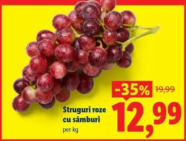 Struguri roze cu samburi