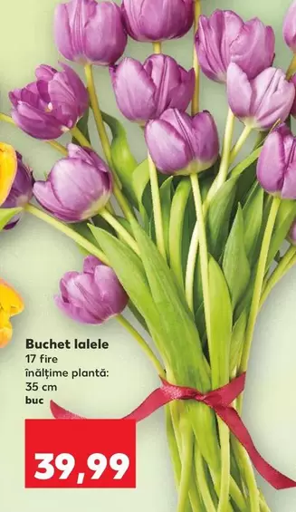 Buchet lalele