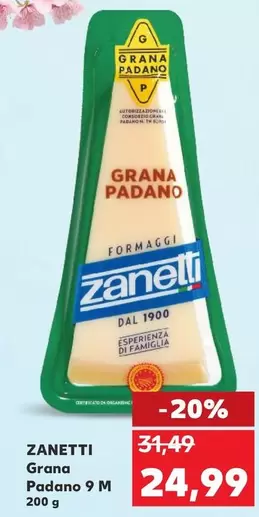 Grana Padano 9 M
