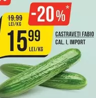 CASTRAVETI FABIO
