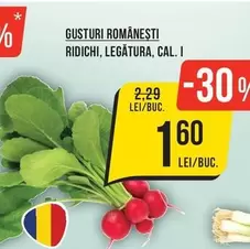 RIDICHI, LEGĂTURĂ, CAL. I