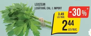 LEUSTEAN LEGĂTURĂ