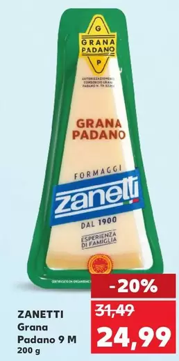 Grana Padano 9 M