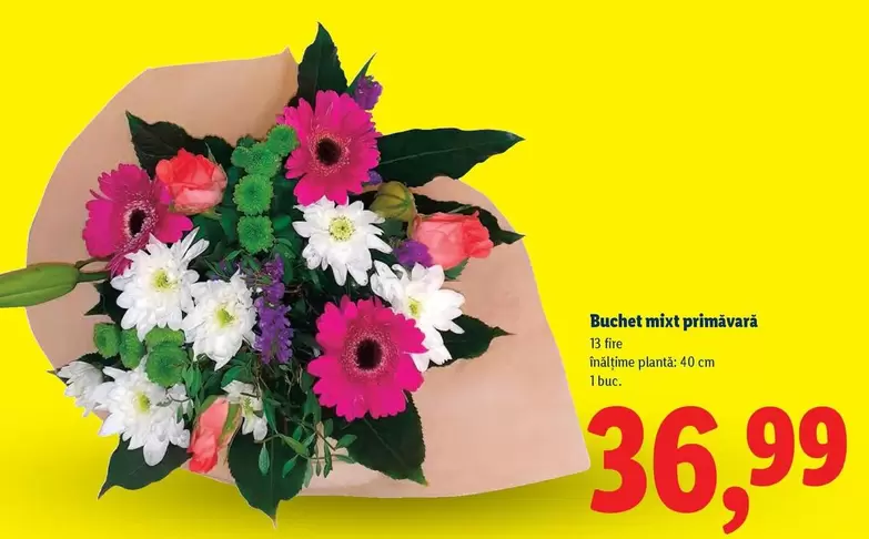 Buchet mixt primăvară