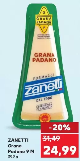 Grana Padano 9 M