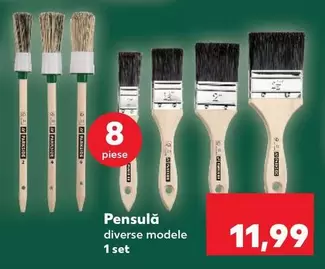 Pensulă diverse modele