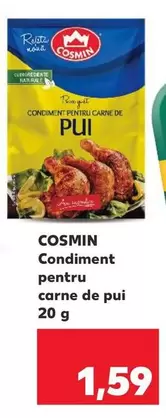 Condiment pentru carne de pui