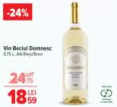 Vin Securitatea Domnesc