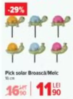 Pick solar Broasca/Melc