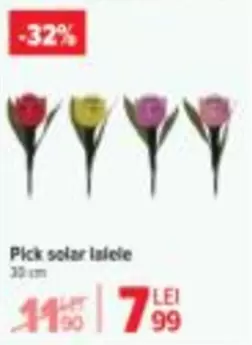 Pick solar lalele