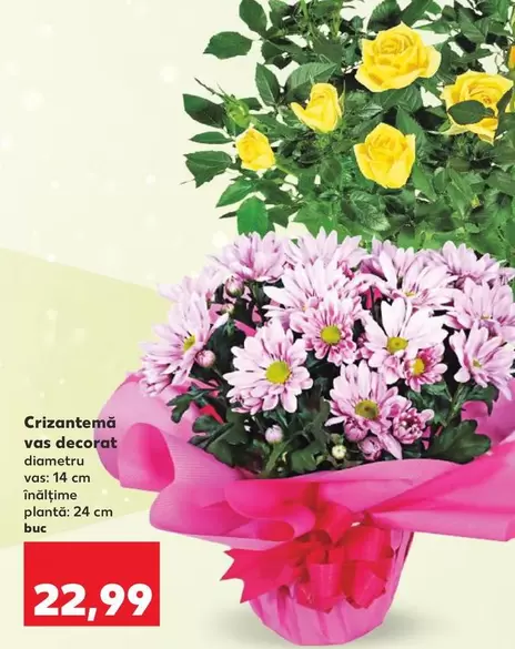 Crizantemă vas decorat