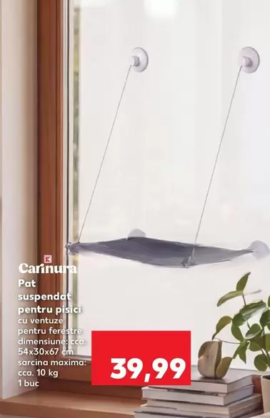 Pot suspendat pentru pisici cu ventuză