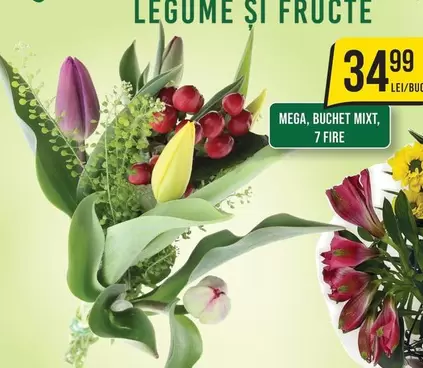 MEGA, BUCHET MIXT, 7 FIRE