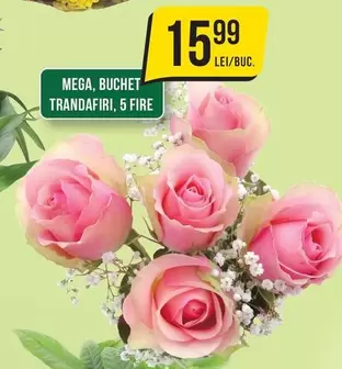 MEGA, BUCHET TRANDAFIRI, 5 FIRE