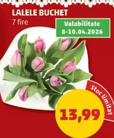 LALELE BUCHET