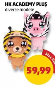 HK ACADEMY PLUS diverse modele