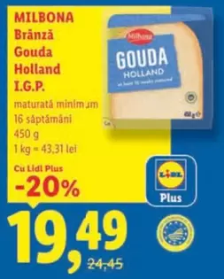Brânză Gouda Holland I.G.P.