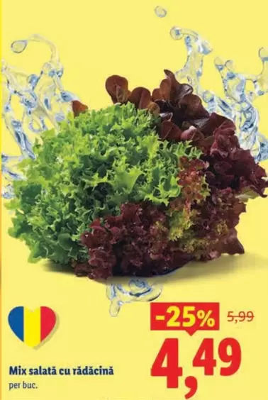 Mix salată cu rădăcină