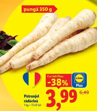 Pătrunjel rădăcină