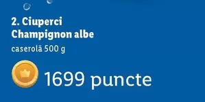 Ciuperci Champignon albe