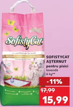 Lavanda - Așternut pentru pisici